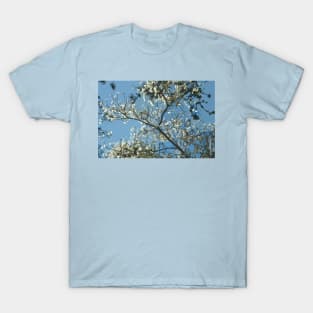 White Dogwood T-Shirt